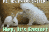 Happy Easter Cute GIF - Happy Easter Cute Bunny GIFs