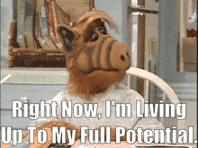 Alf Potential GIF - Alf Potential Right Now Im Living Up To My Full Potential GIFs