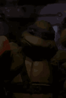 Tmnt Donatello GIF - Tmnt Donatello Excellent GIFs