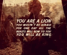 You Are A Lion Lion GIF - You Are A Lion Lion Go T GIFs