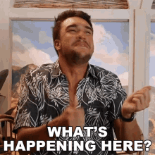 Whats Happening Here Ricardo Salusse GIF - Whats Happening Here Ricardo Salusse All Star Shore GIFs