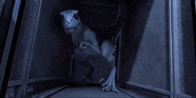 a dinosaur is standing in a dark room with a blue background