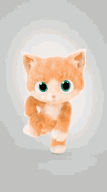 Eniy Cat GIF - Eniy Cat Dance GIFs