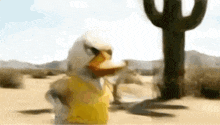 a duck in a yellow vest is standing in the desert next to a cactus .