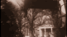 a black and white photo of trees and a building