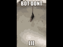 Bot Dont Lie Bot GIF - Bot Dont Lie Bot Lie GIFs