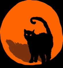 Screen Culture Cat Orange Cat GIF - Screen Culture Cat Orange Cat Cat GIFs