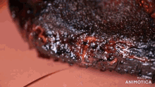 a close up of a piece of meat with the words made in animatica written on the bottom