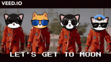 Bad Cats Bad Cats Fight Club GIF - Bad Cats Bad Cats Fight Club Bad GIFs