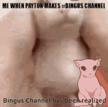 Bingus Channel GIF - Bingus Channel Discord GIFs