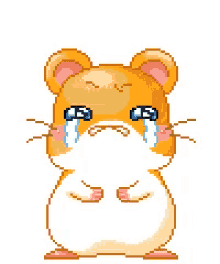 hamster sad crying tantrum temper