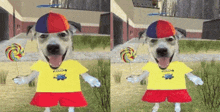 a dog wearing a yellow shirt with a minion on it
