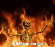 a skeleton is standing in front of flames with the words sex1003 past the limit