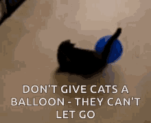 Black Cat Blue Balloon GIF - Black Cat Blue Balloon They Cant Let Go GIFs