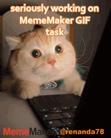 Mememaker GIF - Mememaker GIFs