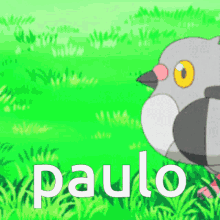 Paulo Pombo GIF - Paulo Pombo Pidgeon GIFs