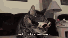 Laser Cat. Yeah. GIF - Cat Lasers Goggles GIFs
