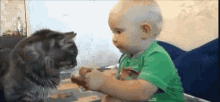 Baby And Kitty GIF - Share Baby Cat GIFs