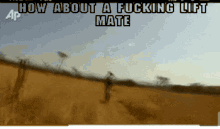 how about a fucking lift mate is displayed on a screen