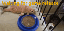 a cat laying on the floor next to a bowl of food with the words waiting for game release
