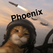 a cat wearing a helmet with the word phoenix written above it