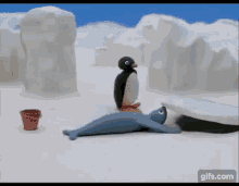 Pingu Otter GIF - Pingu Otter Sea Lion GIFs