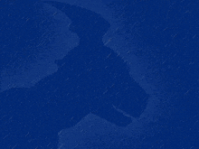 a blue background with a silhouette of a dragon