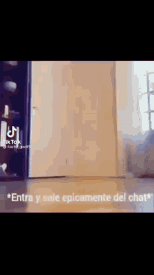 Entra Y Sale GIF - Entra Y Sale Epicamente Del Chat GIFs
