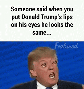Donald Trump GIF - Donald Trump Joke GIFs