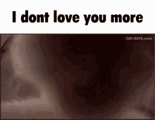 I Dont Love You More I Love You More GIF