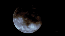 Moon Glows Slow Worlds Weirdest GIF - Moon Glows Slow Worlds Weirdest Bat Appreciation Day GIFs