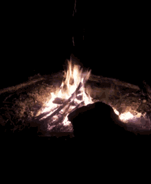 Bonfire GIF - Bonfire GIFs