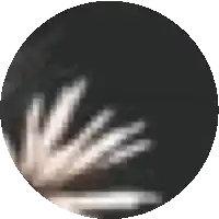 a close up of a person 's face in a circle