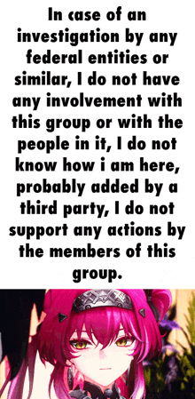 a picture of a pink haired anime girl with the words in case of an investigation by any federal entities or similar i do not have