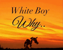 a poster for white boy why with a sunset background