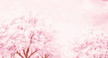 Sakura Pink GIF - Sakura Pink Anime GIFs