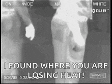 a black and white photo of a cow with the words `` i found where you are losing heat ''