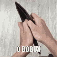 Bobux Robux GIF - Bobux Robux Roblox GIFs