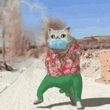 Dancing Cat GIF - Dancing Cat Face Mask GIFs