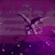 a purple and blue background with a silhouette of a dragon with wings