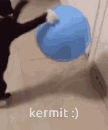 Kermit Cat GIF - Kermit Cat Cat Jumping GIFs