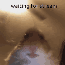 Waiting Stream GIF