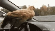 Concentrate Speeding GIF
