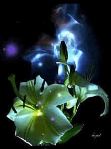 Flowers Animation GIF - Flowers Animation GIFs