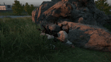 a person laying on a rock in the grass