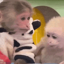 Monkey Kiss George Monkey GIF - Monkey Kiss George Monkey Fadsfantasy GIFs