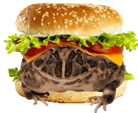 Burger Burger Frog Sticker - Burger Burger Frog Funny Stickers