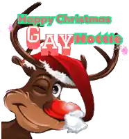 a reindeer wearing a santa hat with the words happy christmas gay hottie behind it
