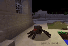 Lewka Pavuk Pawuk GIF - Lewka Pavuk Pawuk Spider GIFs