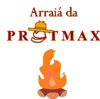 Protmax Epi Sticker - Protmax Epi Arraiá Stickers